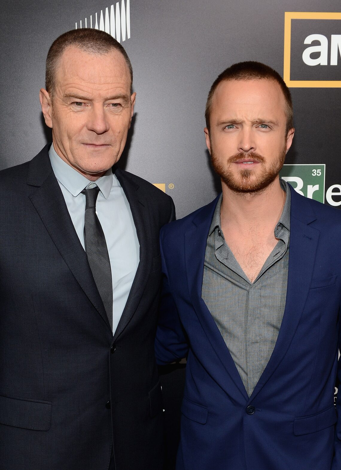 "Breaking Bad" panel
