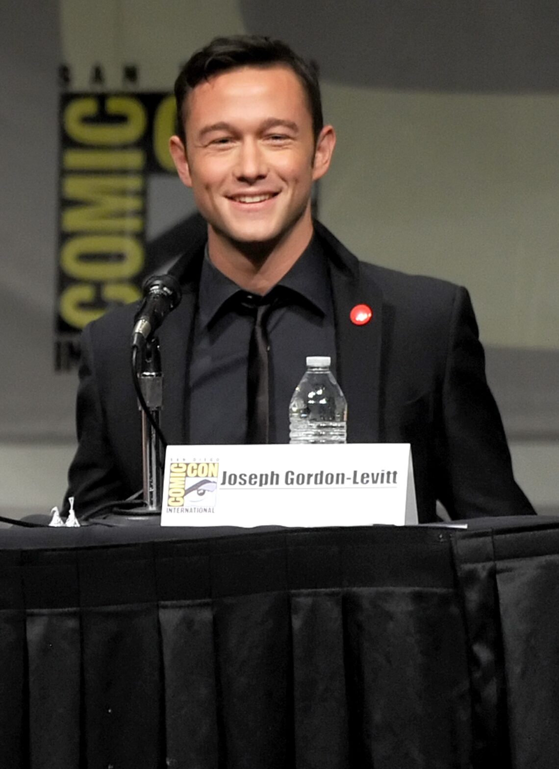 "Looper" panel