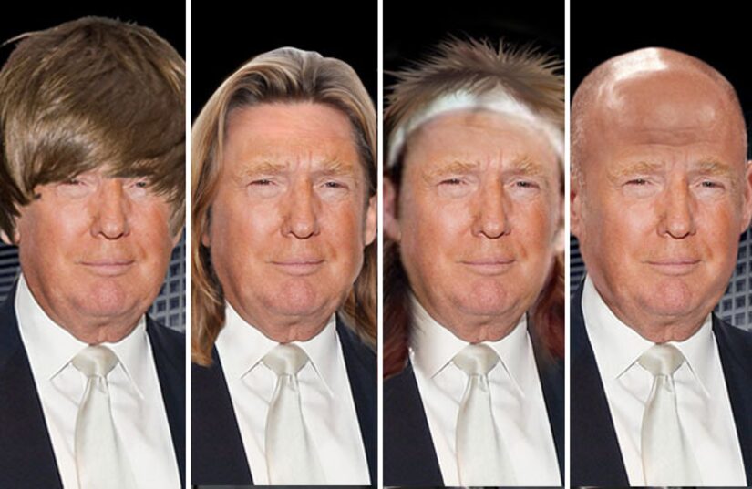Donald Trump Hair Young Donald Trump Hair Young