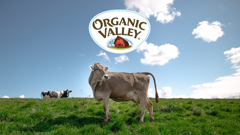 Win Big and Get MOOving with Organic Valley's #MOOvingOutside Challenge