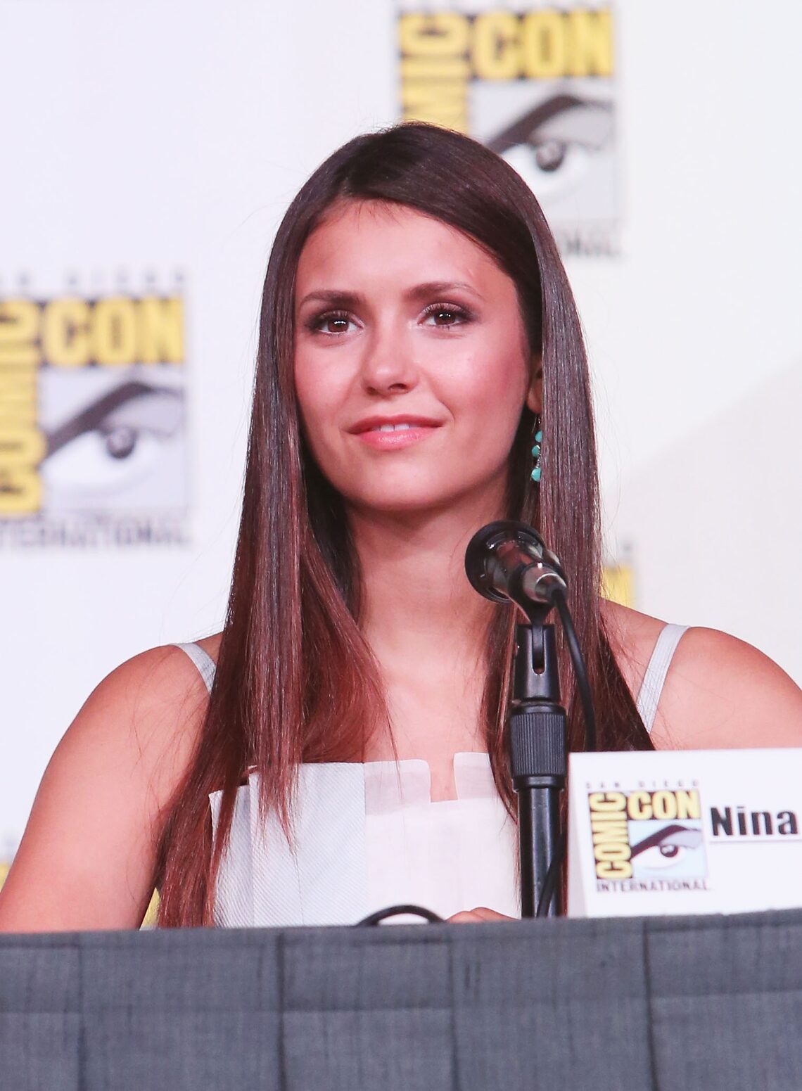 "The Vampire Diaires" panel