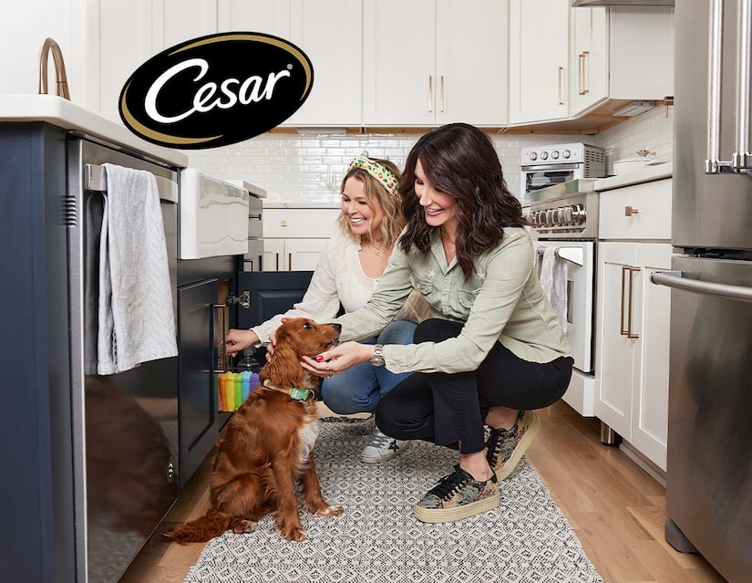 'The Home Edit' Hosts & CESAR Canine Cuisine on How to Transition to a Pet-Friendly Workplace