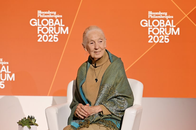 Famed Chimp Expert & Conservationist Jane Goodall Dies at 91