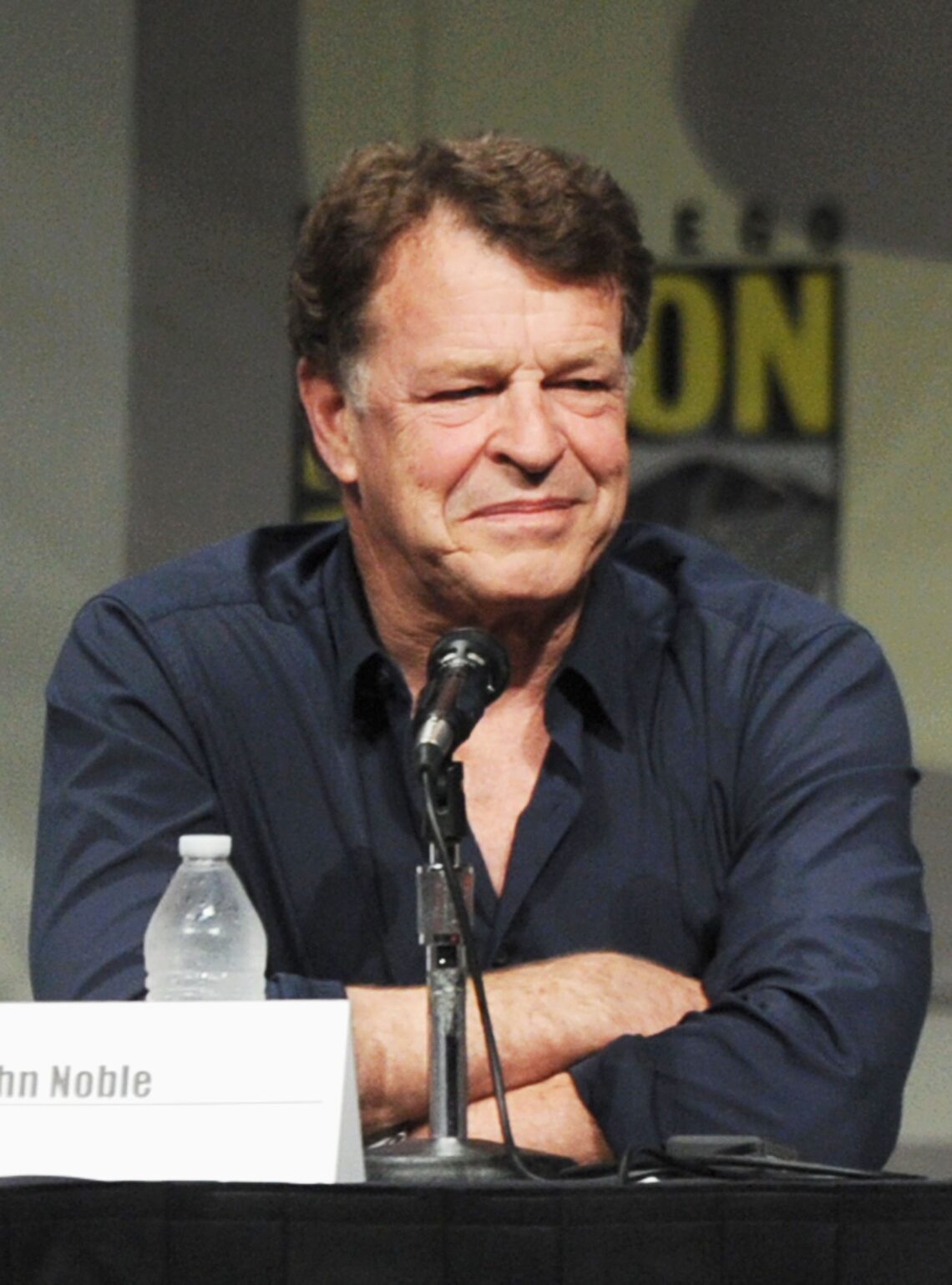 "Fringe" panel