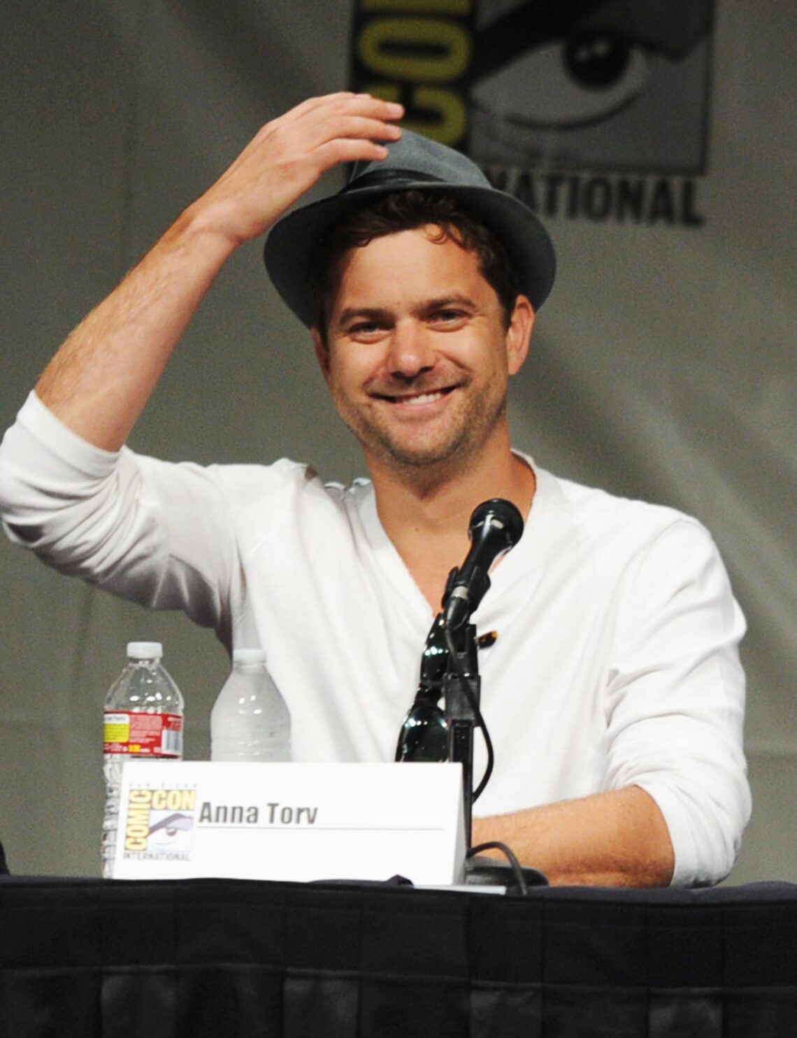 "Fringe" panel