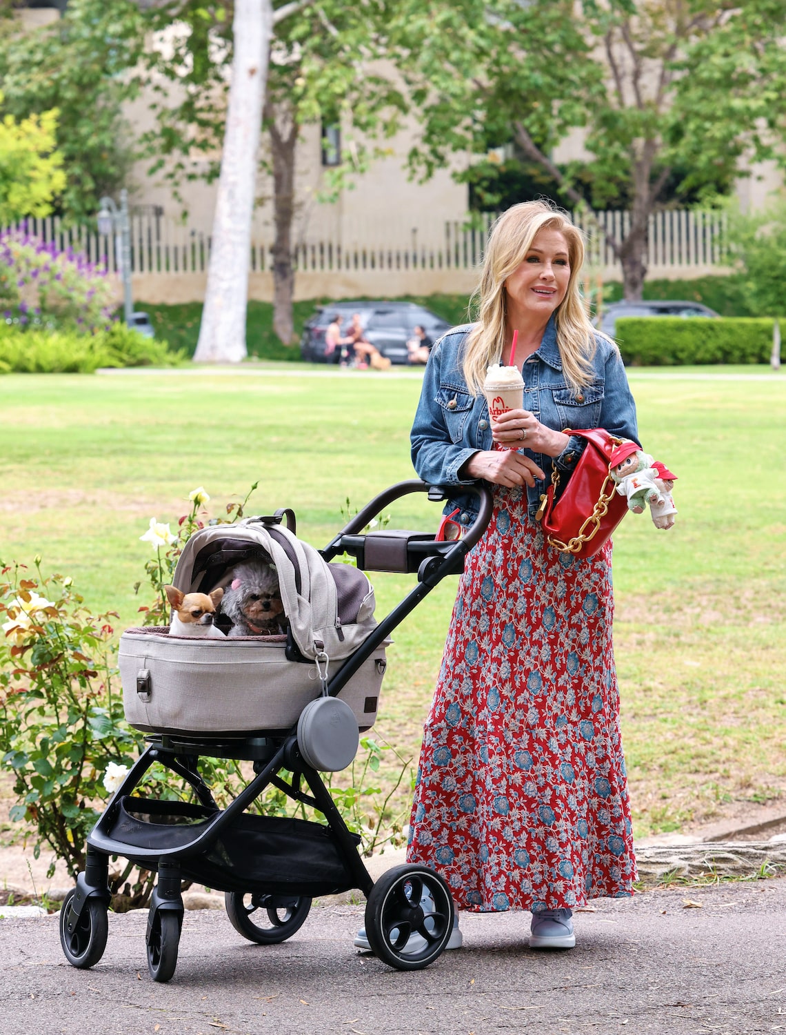 Kathy Hilton enjoyed an Arby’s Jamocha Shake while taking a stroll with her pups in Beverly Hills.