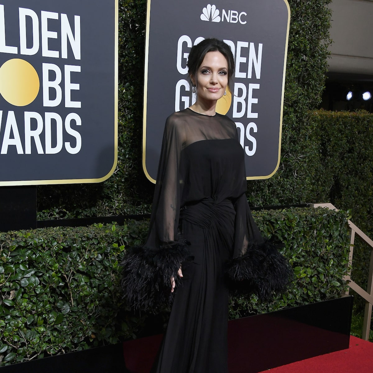 angelina jolie golden globes see through dress Is All Sheer and Feathers at the YGroup_DMV12B