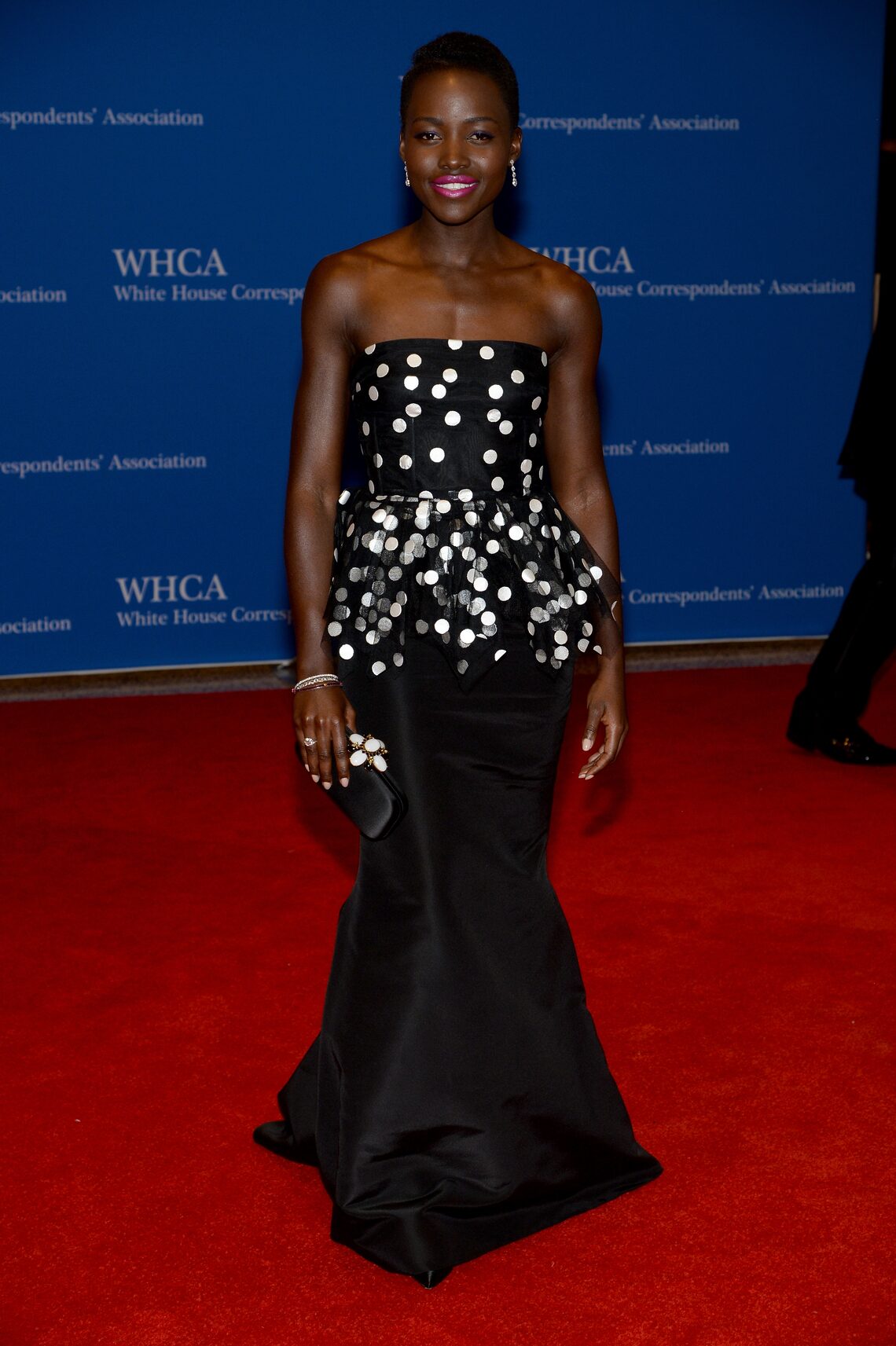 White House Correspondents' Association Dinner 2014