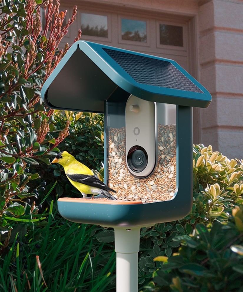 Birdbuddy Smart Bird Feeder Pro with Solar Roof Giveaway