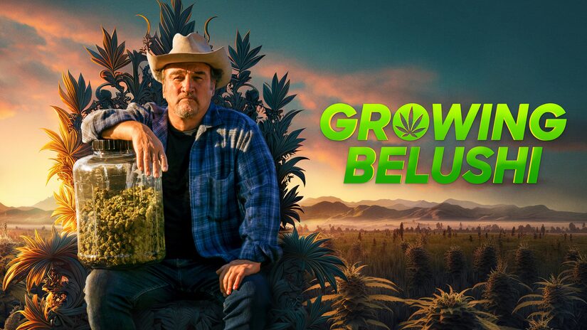 First Look at 'Growing Belushi' Season 3