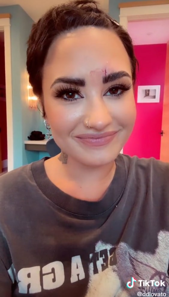 Demi lovato deals plastic surgery