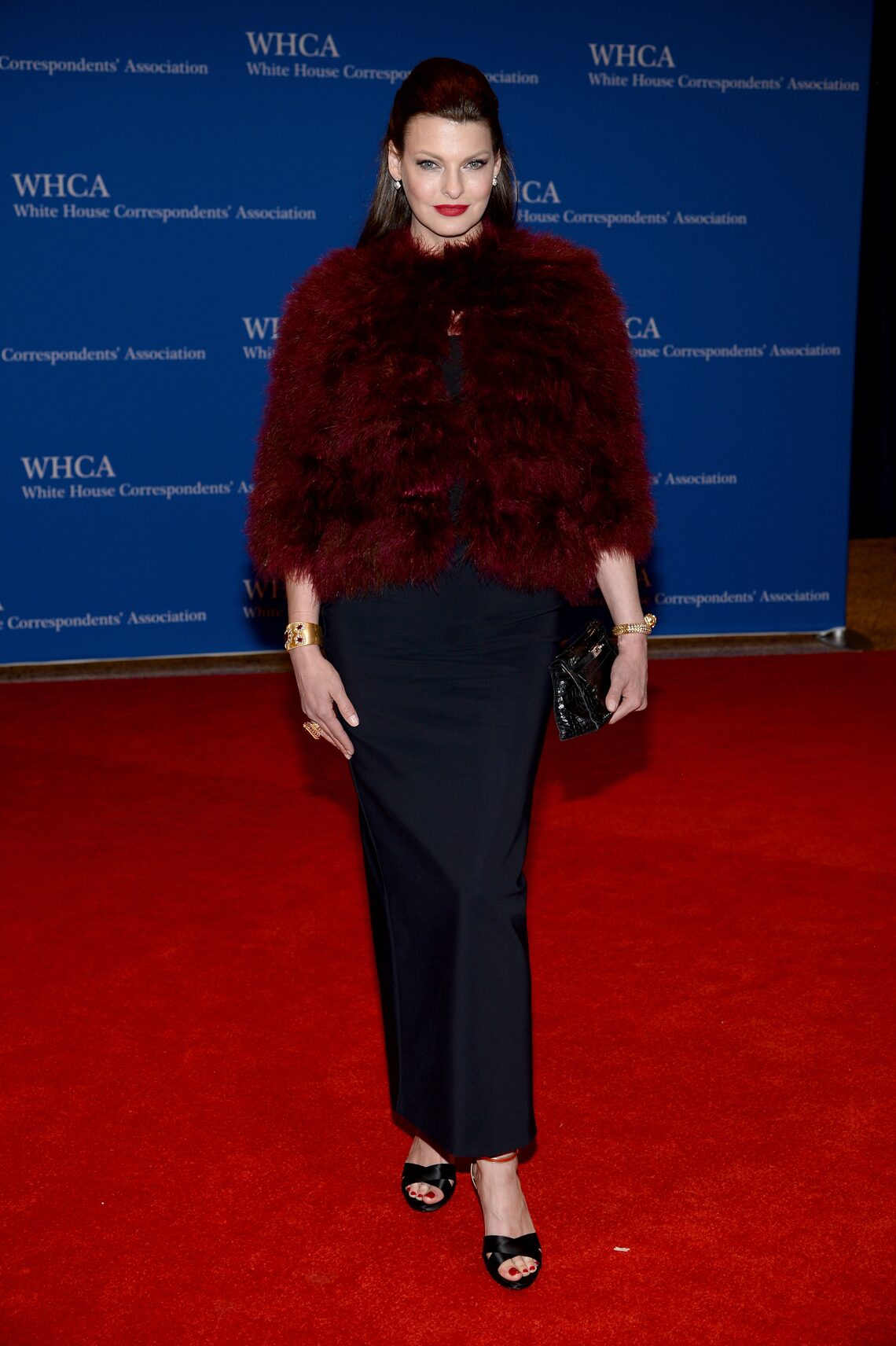 White House Correspondents' Association Dinner 2014
