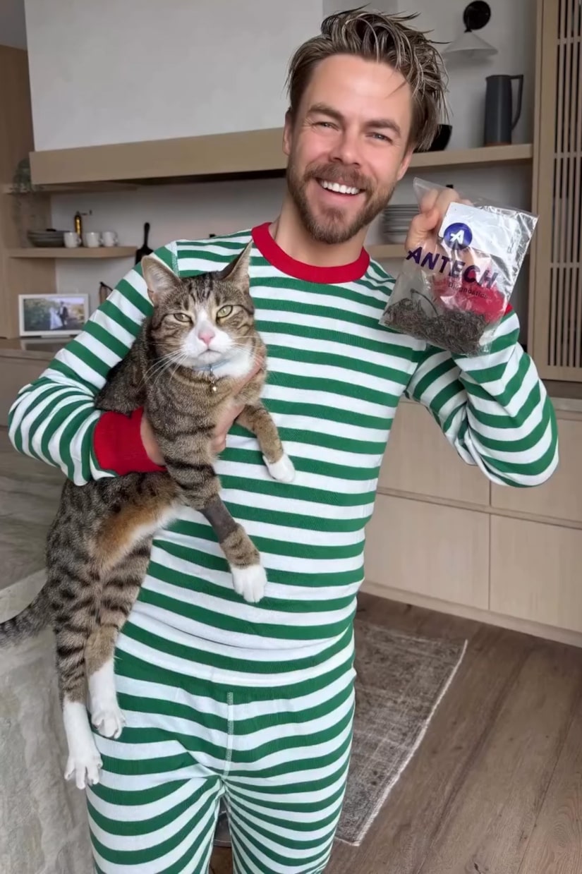 Derek Hough Reveals He Spent $8K on Cat's Christmas Day Vet Visit