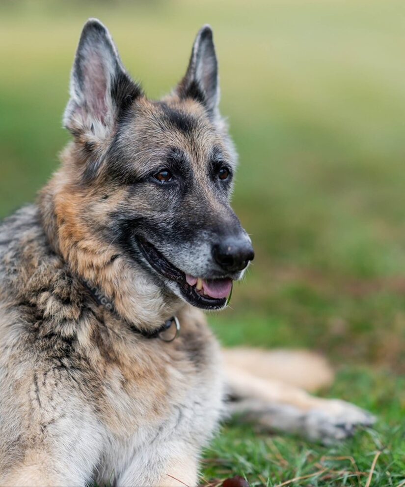 Chelsea Handler SoundsOff on the Latest Headlines