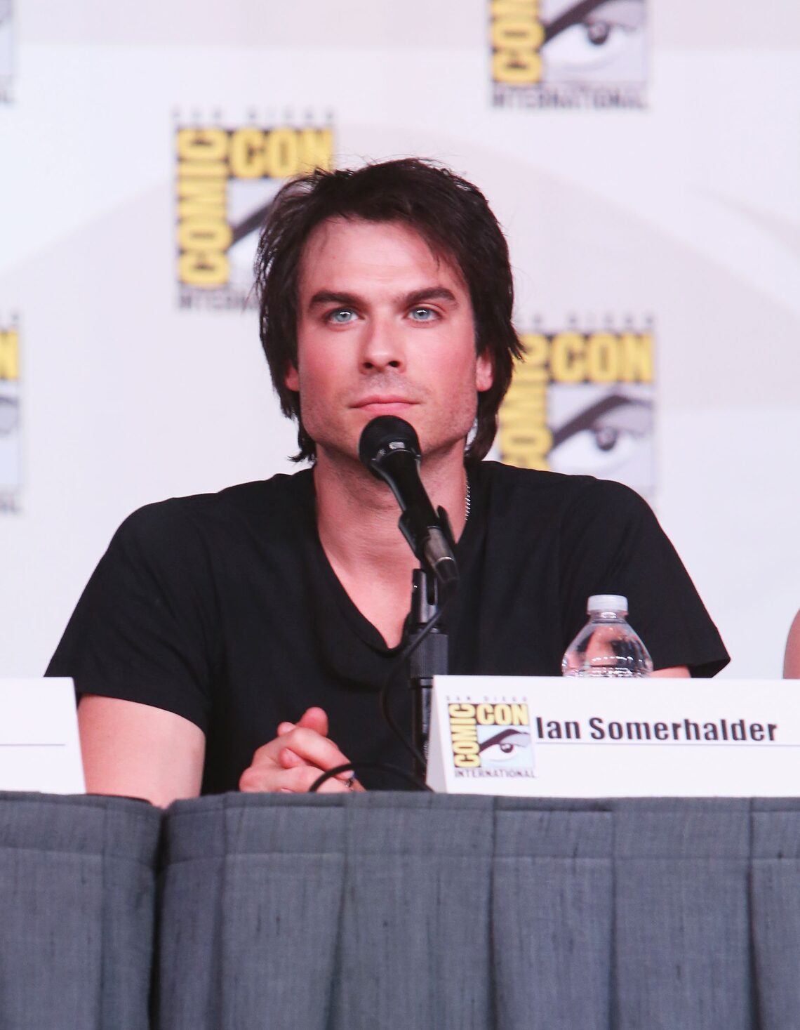 "The Vampire Diaires" panel