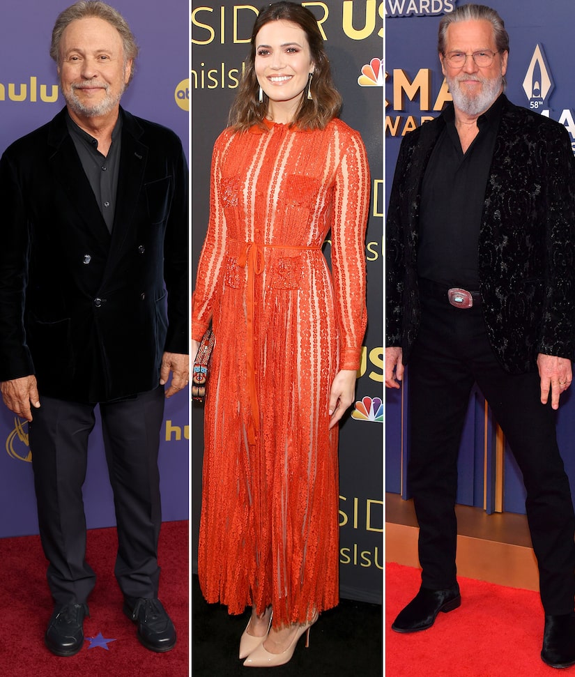 Celebrities Who Have Lost Homes in L.A. Wildfires