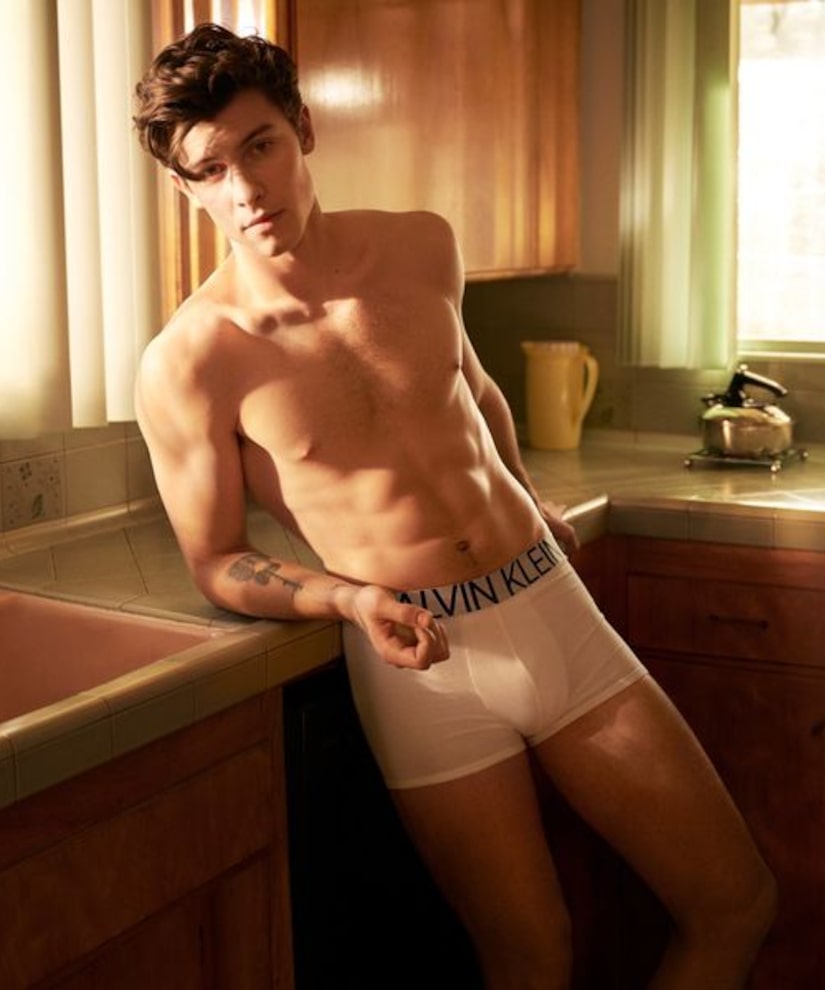 Shawn Mendes Looks 'Abs' Fab in New CK Underwear Pics!