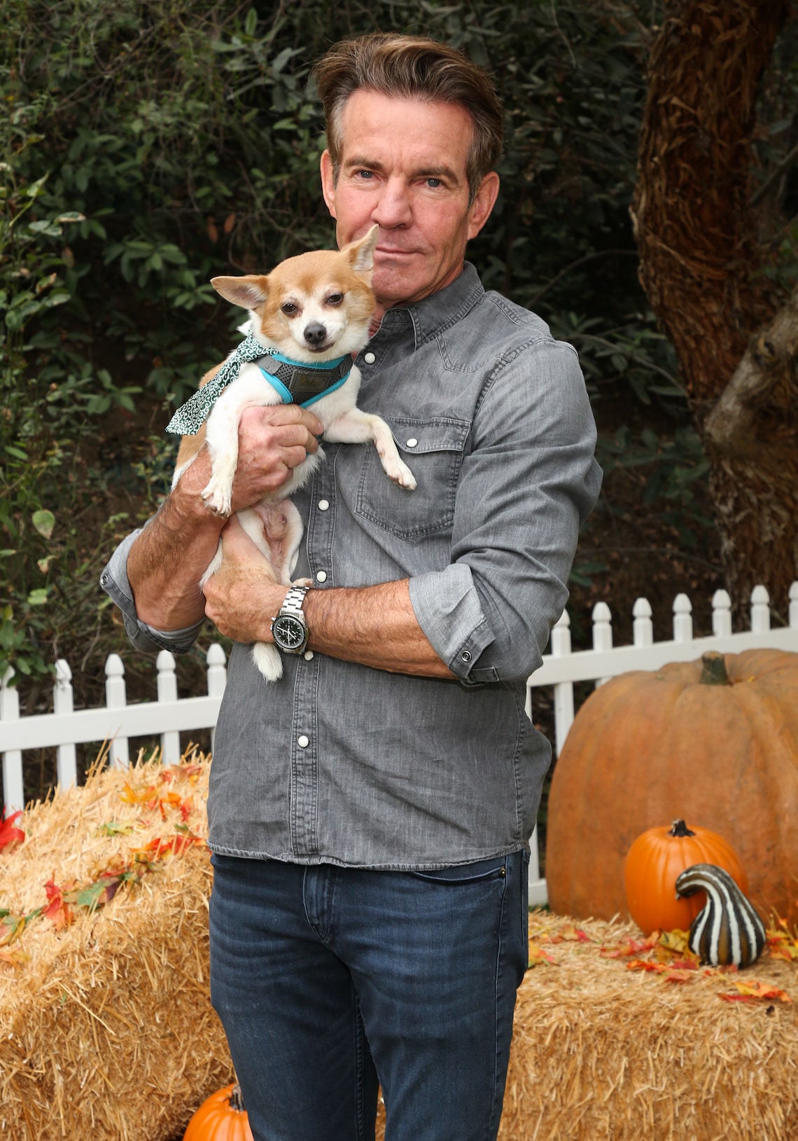 Dennis Quaid bonded with a cute dog on the set of Hallmark Channel's "Home & Family" at Universal Studios Hollywood.